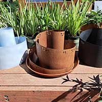 several empty herb spirals